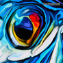 Big Eye