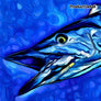 Wahoo