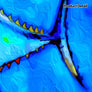 Yellowfin
