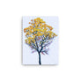 Tabebuia