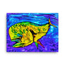 Dorado