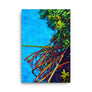 Rooted