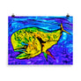 Dorado