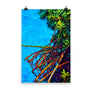 Rooted