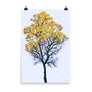 Tabebuia