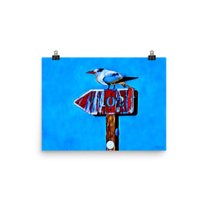 Left Tern