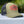 Lostman's River Trucker Hat